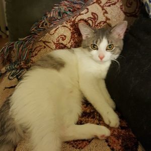 Meet your Posher, Valerie